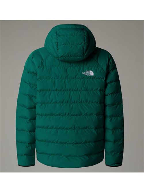 b drew peak p/o hoodie THE NORTH FACE | NF0A88TWNL11NL1